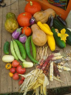 Autonomie alimentaire