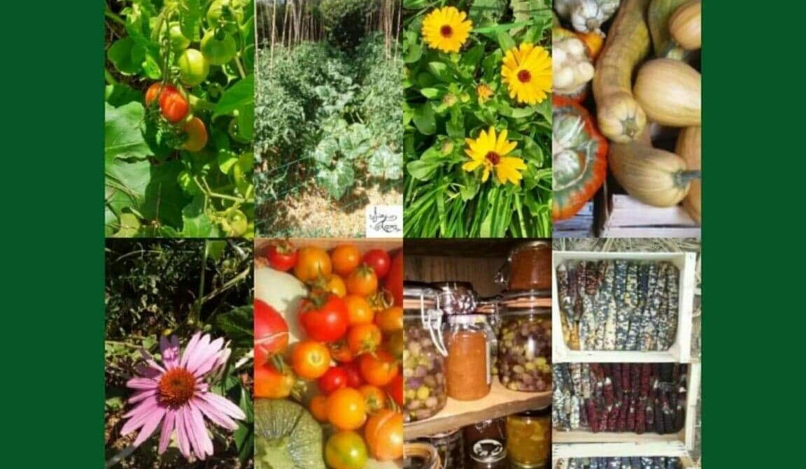 Autonomie aux Jardins De Tara