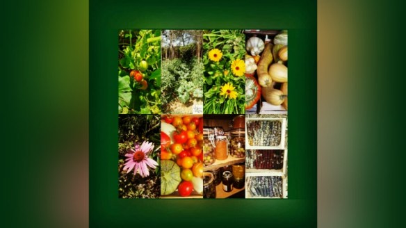 Autonomie alimentaire