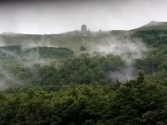 Avec Les Jardins De Tara reconnexion à la nature, sensibilisation, coaching, formation