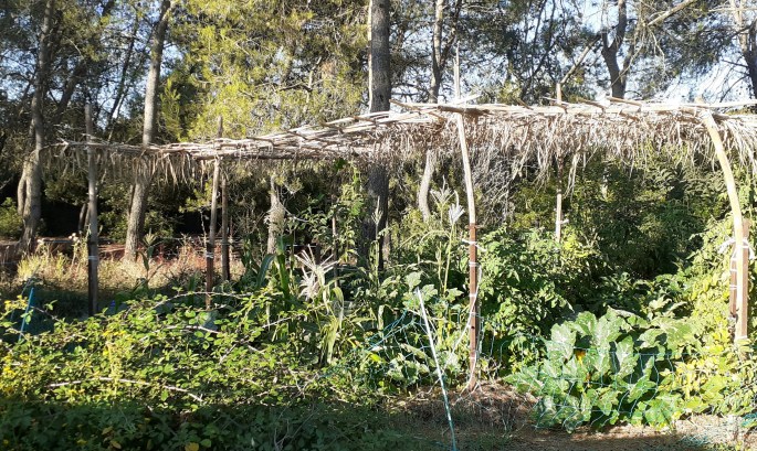 Bonnes pratiques du jardinage naturel
