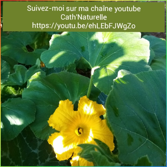 la chaine youtube de Cath'Naturelle